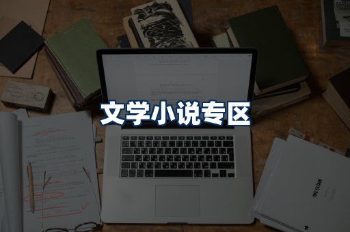 文学小说PDF展示